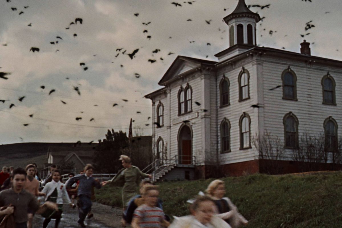 The Birds
