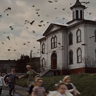 The Birds